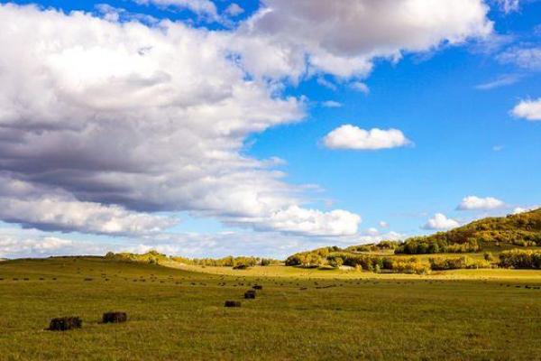 满面春风打一准确生肖 满面春风打一生肖最佳答案