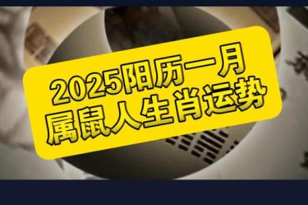 1984年属鼠女2025年全年运势如何(1984年鼠女一生命运和婚姻)