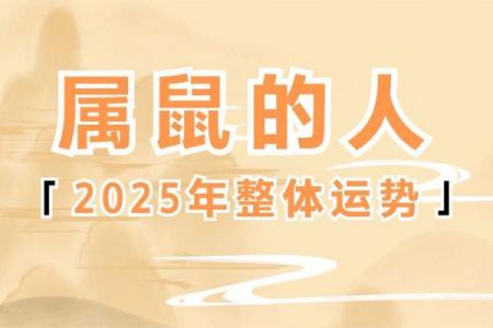 八四年的鼠2025年财运怎么样(八四年的鼠2025年财运怎么样)