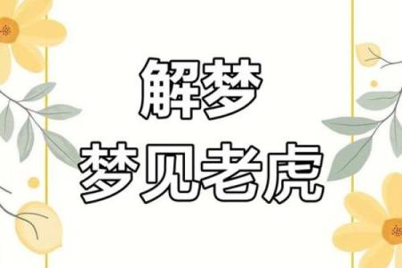 梦见老虎追人是什么预兆