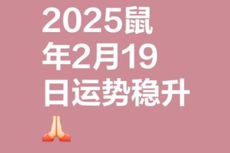 2025属鼠人的全年运势(2025属鼠人的全年运势)