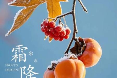 霜降节气的寓意和象征 霜降的风俗有哪些