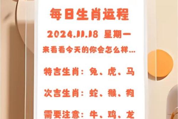 午后时光是什么生肖