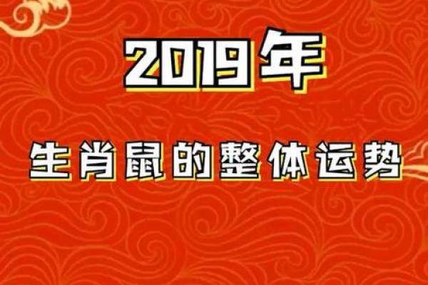 1984年属鼠人40岁到49岁运程(84年属鼠40岁以后运势)