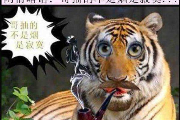 赶尽杀绝猜生肖最佳答案