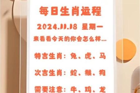 午后时光是什么生肖