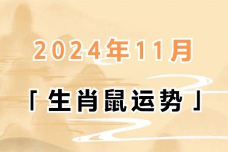 1984年属鼠人40岁到49岁运程(84年属鼠40岁以后运势)