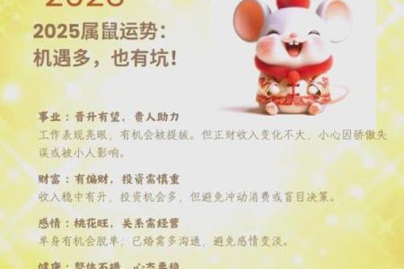 1984年鼠2025财运大爆发的一年(1984年生肖鼠未来五年运势)