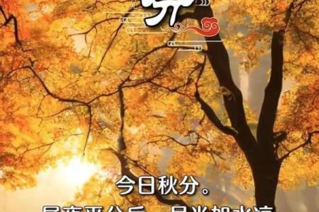 描写秋分的诗句有哪些 关于二十四节气秋分的诗句优美