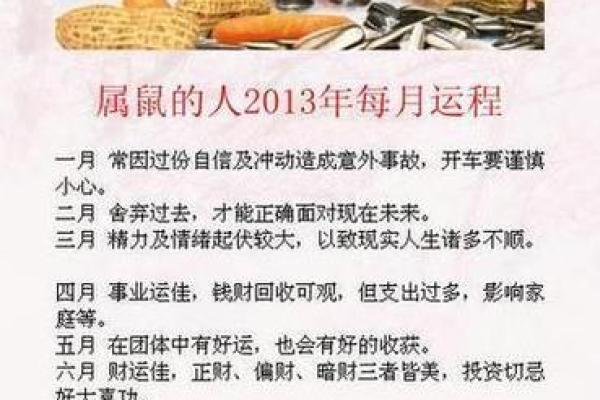 1984鼠在2025年运势(1984鼠2025年运势完整版)