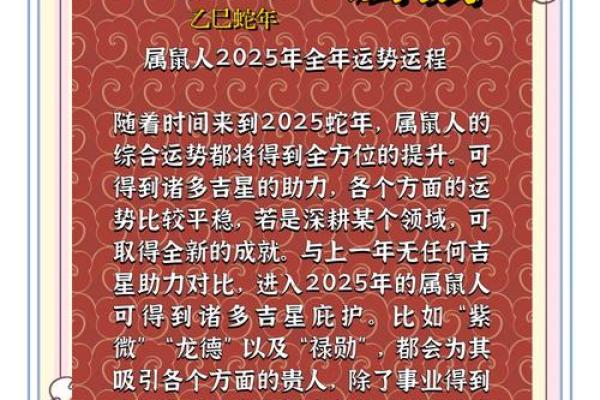 2025年属鼠运势(2025年属鼠运势详解)