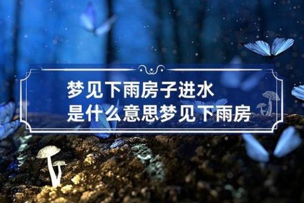 梦到住大房子