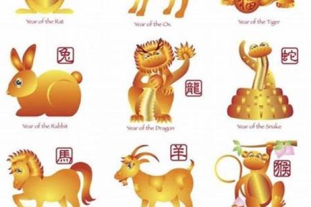 已是什么生肖