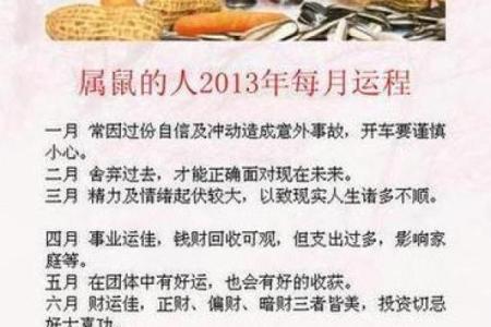 1984鼠在2025年运势(1984鼠2025年运势完整版)