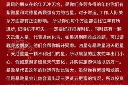 1984年属鼠人2025年全年运势(属鼠的人2025鼠年全年运程)