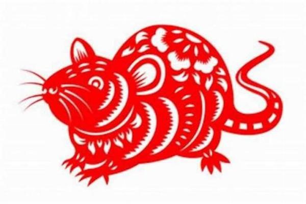 23岁属什么生肖