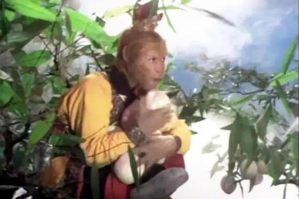 打贪风暴猜一生肖 打贪风暴猜一生肖