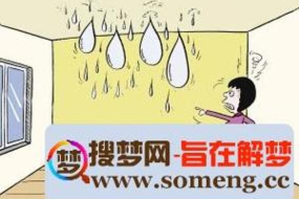 梦见自己房子漏水了是什么征兆