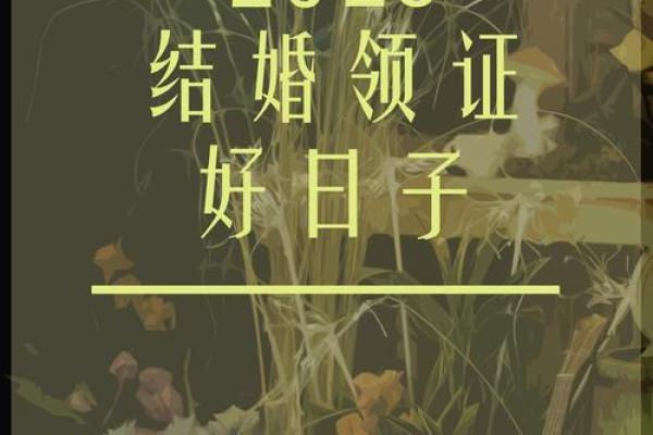 2025适合登记领证的日子有哪些呢(2025适合登记领证的日子有哪些呢图片)