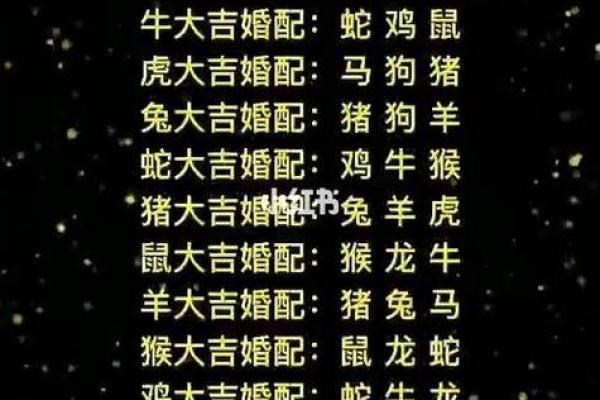 暗藏杀机是什么生肖