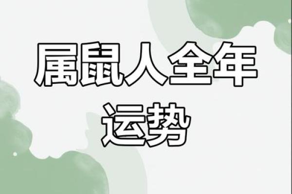 2025年生肖鼠运势运程(2025年生肖鼠运势运程如何)