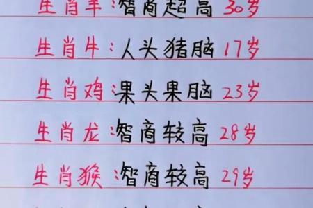 23岁属什么生肖