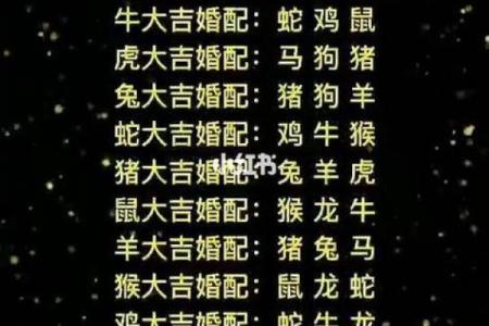 暗藏杀机是什么生肖