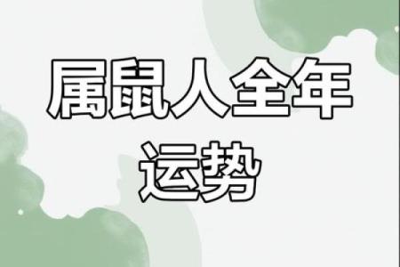 2025年生肖鼠运势运程(2025年生肖鼠运势运程如何)