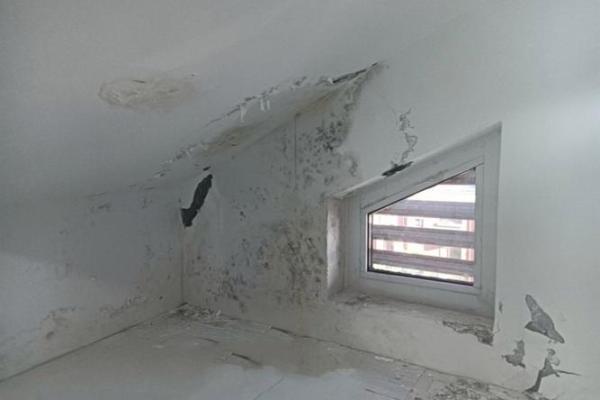 梦见老家房子漏雨是什么意思