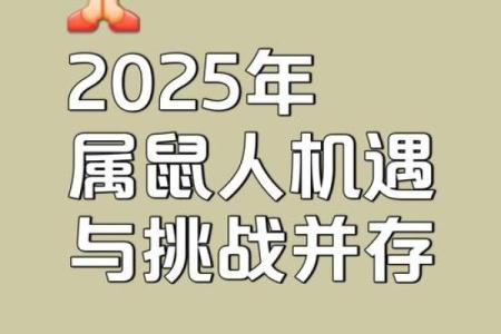 1996年鼠2025全年运势(1996鼠明年运势如何)