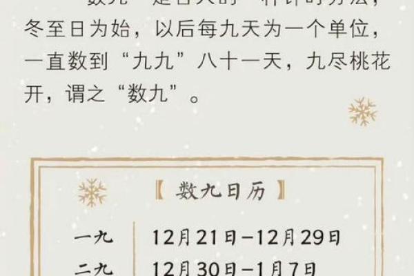 数九寒天打一正确生肖