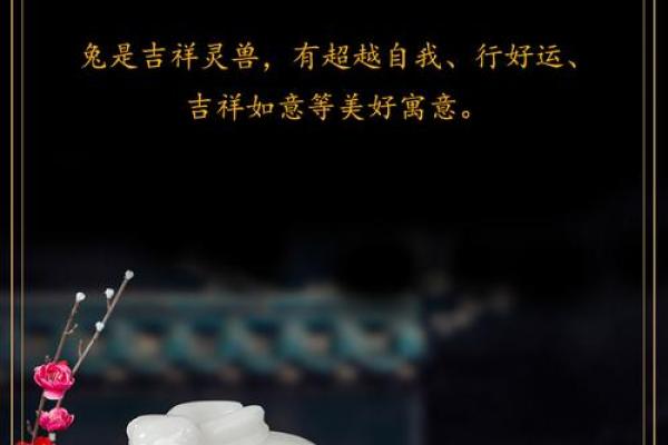 玉兔出宫打一正确生肖