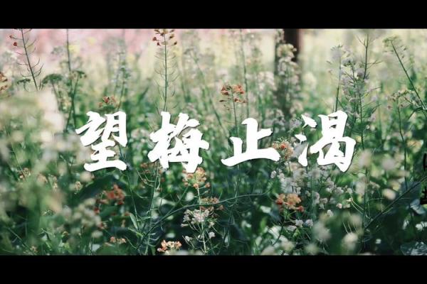 望梅止渴打一最佳生肖 望梅止渴解正确动物生肖 望梅止渴打一最佳生肖 望梅止渴解正确动物生肖