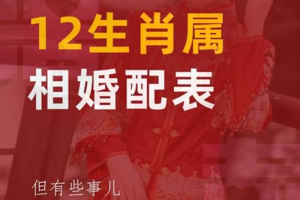 79年属什么的生肖 1979年属什么生肖的最佳配偶
