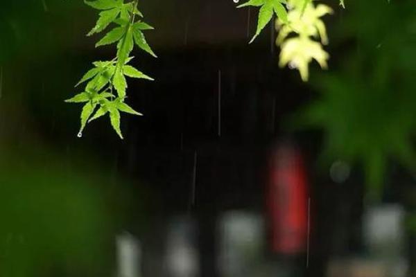春风细雨指什么生肖