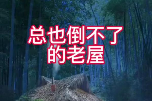 梦见家里老房子
