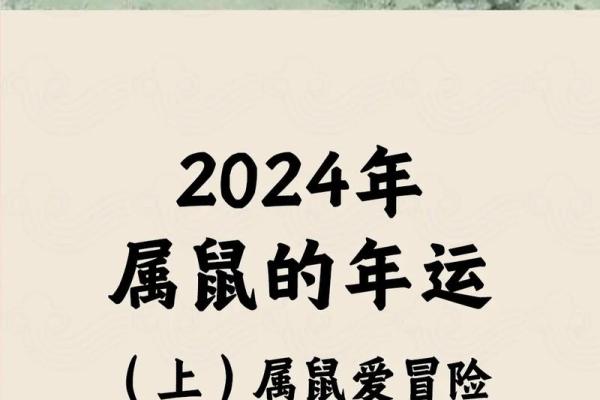 2025年属鼠的运势和财运(2025年属鼠的运势怎么样)