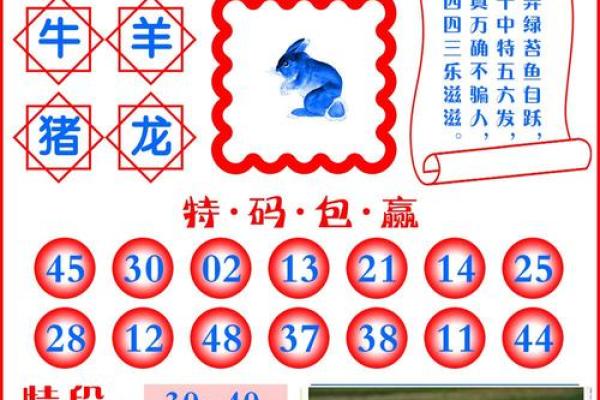 最准确的是什么生肖 最准确答案是什么生肖