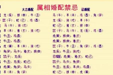 79年属什么的生肖 1979年属什么生肖的最佳配偶