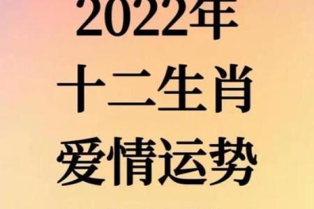1984属鼠女2025年每月运势及运程(1984年属鼠女在2024年的运势)