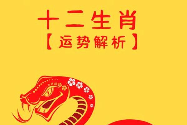 84年鼠2025年运势及运程(84年鼠2025年运势及运程详解)