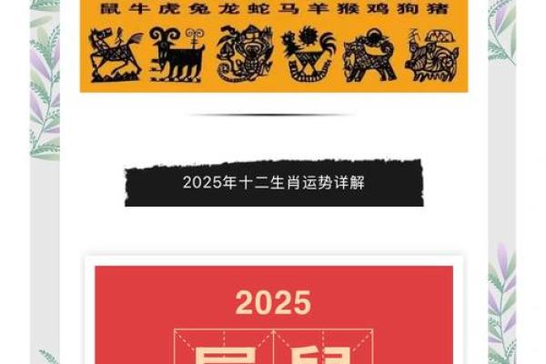 鼠年今年运势2025(鼠年今年运势如何)