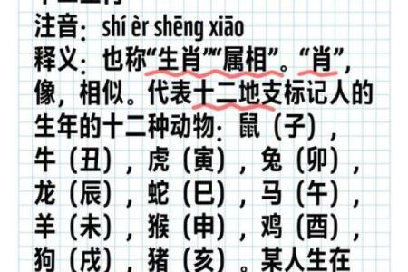 如沐春风是什么生肖 如沐春风打一正确生肖