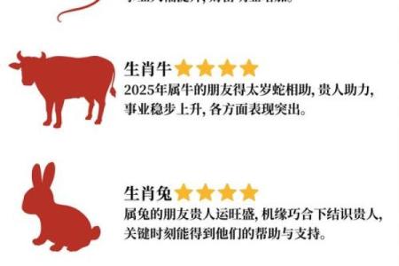 鼠属相2025年运势(属鼠2025年运势及运程详解)