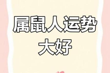 72年的鼠今天运势怎么样(72年属鼠的今天财运)