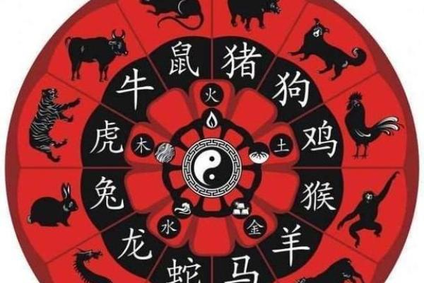驽马十驾是什么生肖