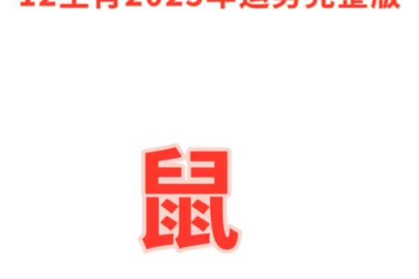 84鼠男2025年运势及运程每月(1984年属鼠男2023年运势每月运势)