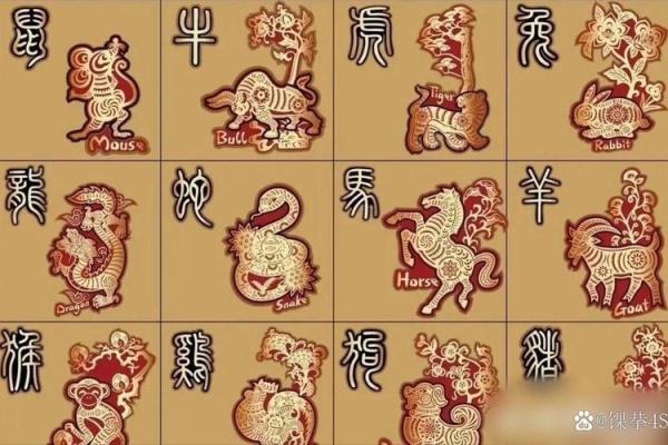河南河北一条河是什么生肖 河北一条河打一准确生肖