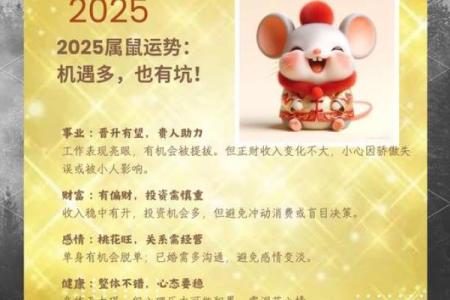 2025年属鼠人全年运势(2025年属鼠人全年运势详解)