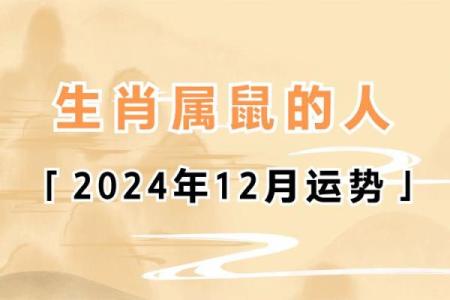 1984属鼠2025年的运势及运程(1984年2024年属鼠人运势)